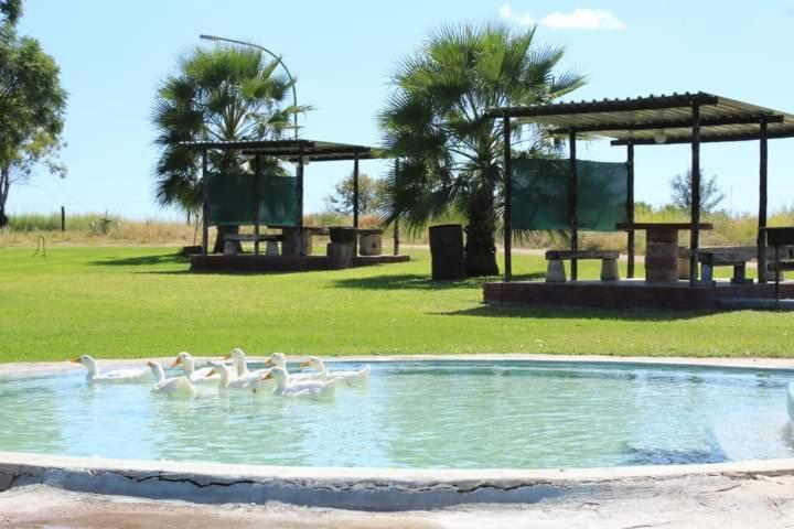 Bambi Lodge Grootfontein 외부 사진