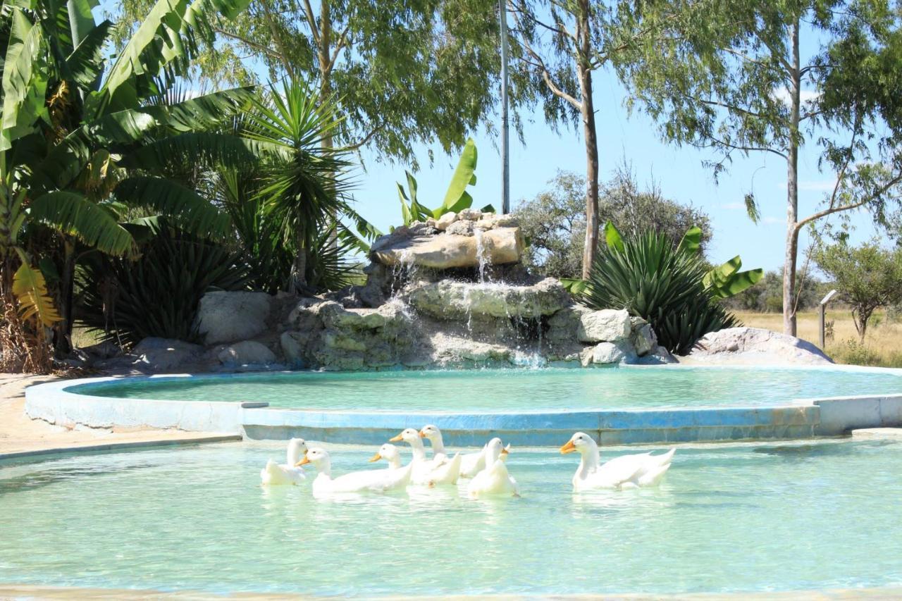 Bambi Lodge Grootfontein 외부 사진
