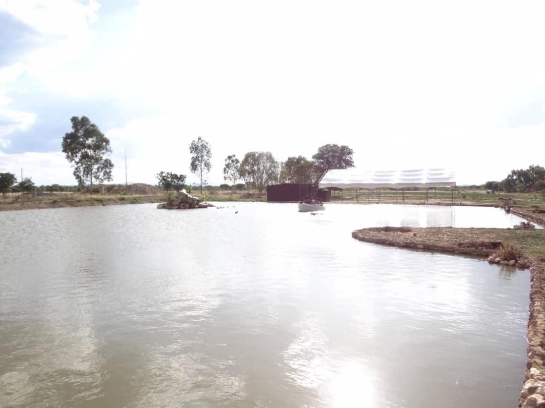 Bambi Lodge Grootfontein 외부 사진
