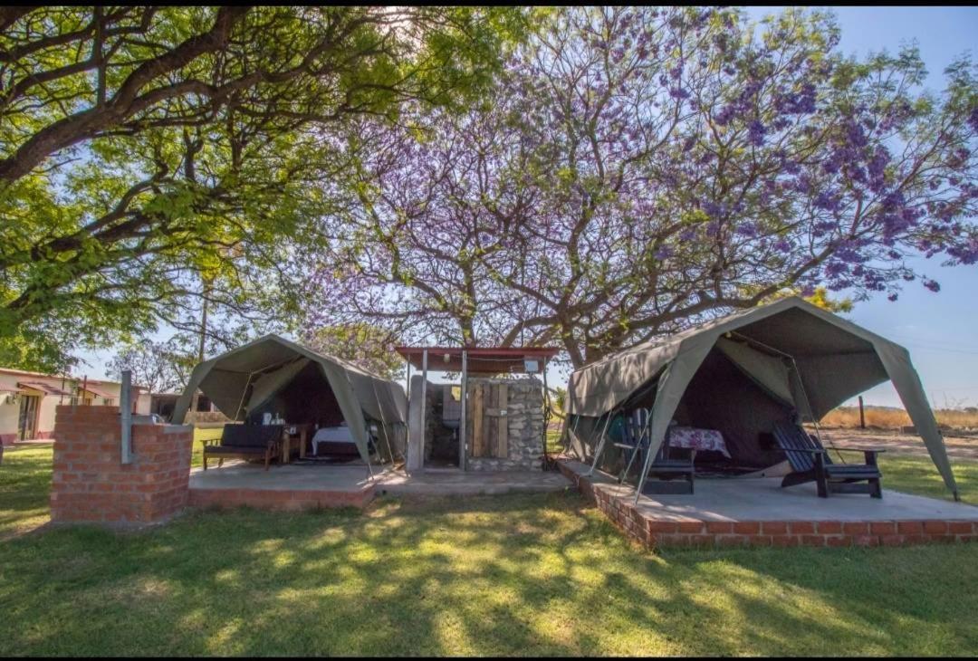 Bambi Lodge Grootfontein 외부 사진
