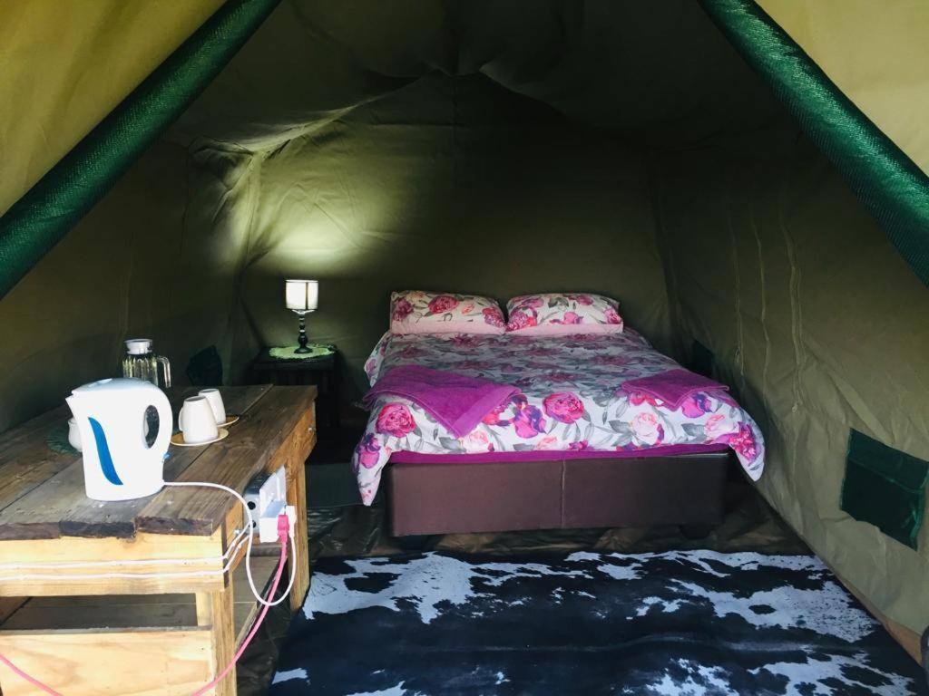 Bambi Lodge Grootfontein 외부 사진
